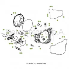 Beta RR300RC 19 Motorgehäuse 2 Meistverkauft