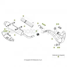 Beta RR250 19 Auspuffsystem Kostenloser Rückversand