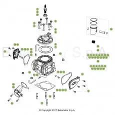 Markenprodukt Beta RR250 19 Zylinder/Zylinderkopf/Ventiltrieb
