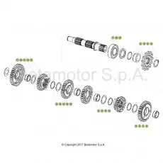 Beta RR125 19 Getriebe 2 Sichere Zahlung