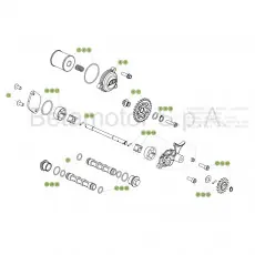 Echt Beta EVO300 4T 19 Schmiersystem