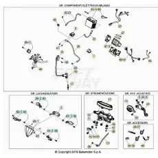 Beta RR250RC 20 Kabelstrang Nur Für Kurze Zeit