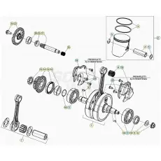 Beta RR250RC 20 Kurbelwelle/Kolben/Ausgleichswelle Super-Preis