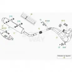 Beta RR300RC 20 Auspuffsystem Schnäppchen