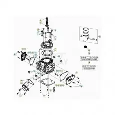 Beta RR300RC 20 Zylinder/Zylinderkopf/Ventiltrieb Preisknaller