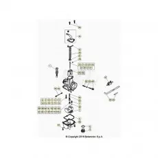 Markenprodukt Beta EVO250 20 Vergaser 2