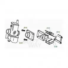 Neu Beta EVO250 20 Vergaser 1