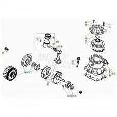 Direktkauf Beta EVO250 20 Kurbelwelle/Kolben/Ausgleichswelle