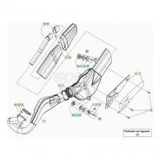 Beta EVO300 SS 20 Auspuffsystem Schnäppchen