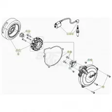 Beta EVO300 SS 20 Zündanlage Geprüft