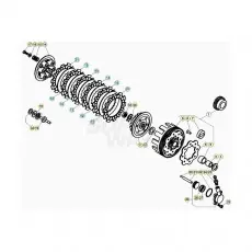 Beta EVO300 SS 20 Primärtrieb/Kupplung Zertifiziert