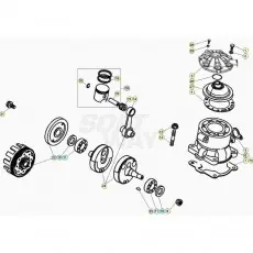 Beta EVO300 SS 20 Kurbelwelle/Kolben/Ausgleichswelle Nur Heute