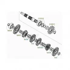 Beta Xtrainer250 20 Getriebe 2 Top-Angebot