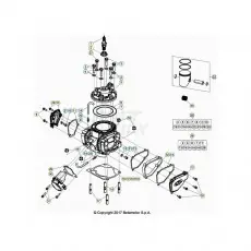 Beta Xtrainer300 21 Zylinder/Zylinderkopf/Ventiltrieb Beliebt