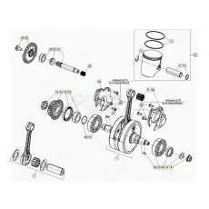 Gratis Versand Beta Xtrainer300 21 Kurbelwelle/Kolben/Ausgleichswelle