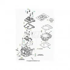 Jetzt Kaufen Beta RR430 20 Zylinder/Zylinderkopf/Ventiltrieb 1