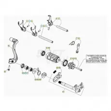 Beta EVO300 4T 20 Schaltung Nur Für Kurze Zeit