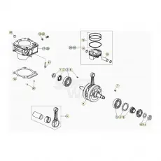 Beta EVO300 4T 20 Kurbelwelle/Kolben/Ausgleichswelle Top-Preis