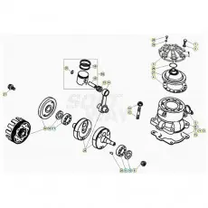 Beta EVO300 2T 20 Kurbelwelle/Kolben/Ausgleichswelle Preisknaller