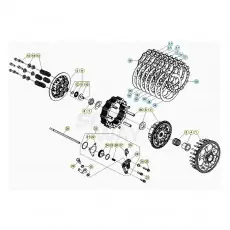 Knallerangebot Beta RR300 21 Primärtrieb/Kupplung