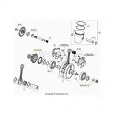 Neuheit Beta RR250RC 21 Kurbelwelle/Kolben/Ausgleichswelle