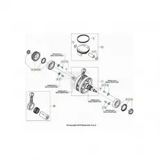 Direktkauf Beta RR430RC 20 4T Kurbelwelle/Kolben/Ausgleichswelle 2