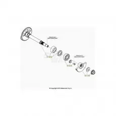 Ausverkauf Beta RR430RC 20 4T Kurbelwelle/Kolben/Ausgleichswelle 1