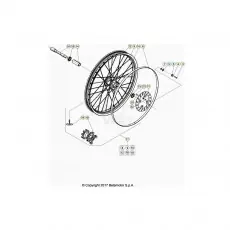 Kostenloser Versand Beta EVO300 Factory 20 Vorderrad