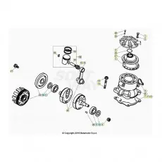 Geprüft Beta EVO300 Factory 20 Kurbelwelle/Kolben/Ausgleichswelle