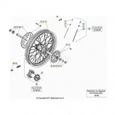Zertifiziert BetaEVO250 Factory 20 Hinterrad