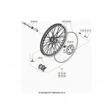 BetaEVO250 Factory 20 Vorderrad Must-Have