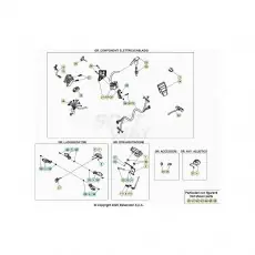 BetaEVO250 Factory 20 Kabelstrang Sonderaktion