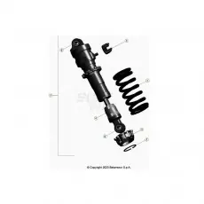 BetaEVO250 Factory 20 Schwingarm/Federbein Begrenztes Angebot