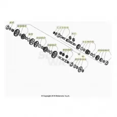 BetaEVO250 Factory 20 Getriebe Bestpreis