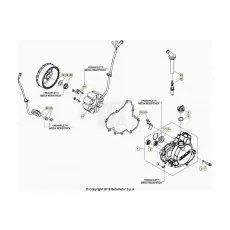 Beta RR480RC 20 4T Zündanlage Markenware