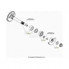 Expressversand Beta RR480RC 20 4T Kurbelwelle/Kolben/Ausgleichswelle 1