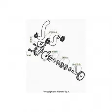 BetaEVO125 Factory 20 Kühlsystem Expressversand