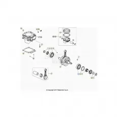 Mega-Angebot Beta EVO300 Factory 4T 20 Kurbelwelle/Kolben/Ausgleichswelle