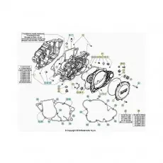 Beta EVO300 Factory 4T 20 Motorgehäuse Versand Am Gleichen Tag