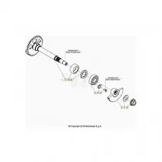 Must-Have Beta RR350RC 21 4T Kurbelwelle/Kolben/Ausgleichswelle 1