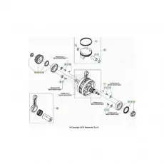 Neue Kollektion Beta RR390RC 21 4T Kurbelwelle/Kolben/Ausgleichswelle 2