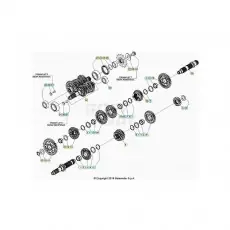Beta RR430RC 21 4T Getriebe Preiswert