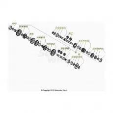 BetaEVO250 Factory 21 Getriebe Geprüft