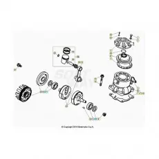 BetaEVO250 Factory 21 Kurbelwelle/Kolben/Ausgleichswelle Heißes Angebot