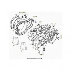 Gratis Versand BetaEVO250 Factory 21 Motorgehäuse