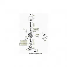 Beta EVO300 SS 21 Vergaser 2 Nur Heute