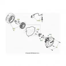 Beta EVO300 SS 21 Zündanlage Direktkauf