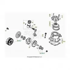 Kostenloser Rückversand Beta EVO300 SS 21 Kurbelwelle/Kolben/Ausgleichswelle