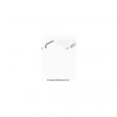 Beta EVO300 2T 21 Spezialwerkzeug Top-Angebot