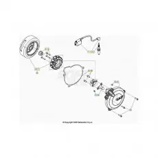 Jetzt Kaufen Beta EVO300 2T 21 Zündanlage